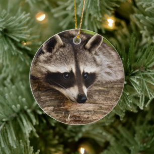 Cute Raccoon Resting on a Log Keramisch Ornament