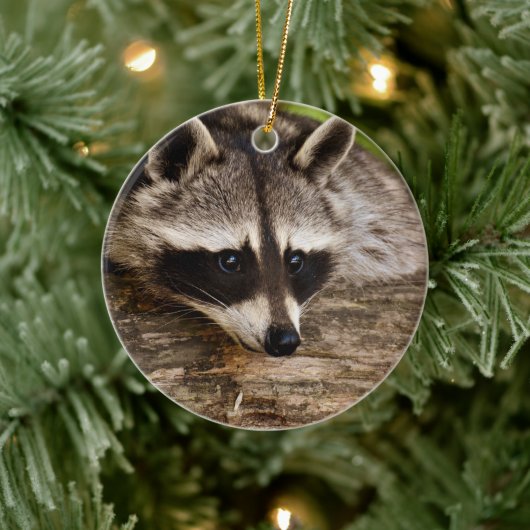 Cute Raccoon Resting on a Log Keramisch Ornament (Boom)
