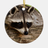 Cute Raccoon Resting on a Log Keramisch Ornament (Voorkant)