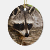 Cute Raccoon Resting on a Log Keramisch Ornament (Links)