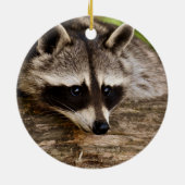 Cute Raccoon Resting on a Log Keramisch Ornament (Achterkant)