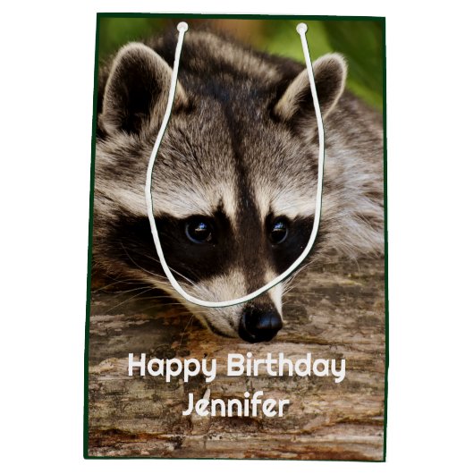 Cute Raccoon Resting on a Log Medium Cadeauzakje (Achterkant)