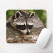 Cute Raccoon Resting on a Log Muismat (Met muis)