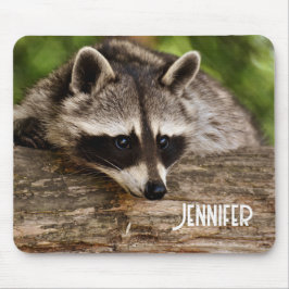 Cute Raccoon Resting on a Log Muismat
