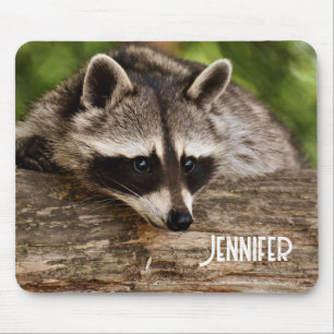 Cute Raccoon Resting on a Log Muismat