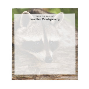 Cute Raccoon Resting on a Log Notitieblok