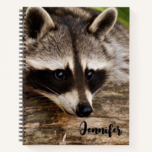 Cute Raccoon Resting on a Log Notitieboek (Voorkant)