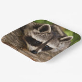 Cute Raccoon Resting on a Log Papieren Bordje (Gebogen)