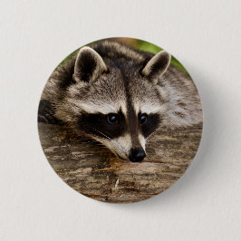 Cute Raccoon Resting on a Log Ronde Button 5,7 Cm