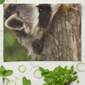 Cute Raccoon Resting on a Log Theedoek (Gevouwen)