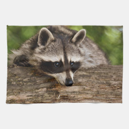 Cute Raccoon Resting on a Log Theedoek