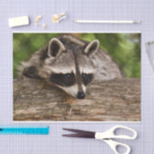 Cute Raccoon Resting on a Log Tissuepapier (Craft)