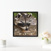 Cute Raccoon Resting on a Log Vierkante Klok (Huis)