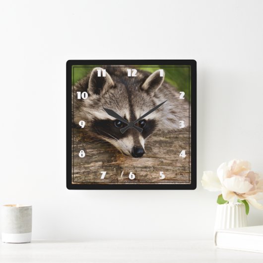 Cute Raccoon Resting on a Log Vierkante Klok (Huis)