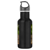 Cute Raccoon Resting on a Log Waterfles (Achterkant)