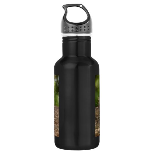 Cute Raccoon Resting on a Log Waterfles (Achterkant)