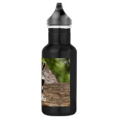 Cute Raccoon Resting on a Log Waterfles (Rechts)