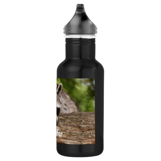 Cute Raccoon Resting on a Log Waterfles (Rechts)