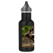 Cute Raccoon Resting on a Log Waterfles (Links)
