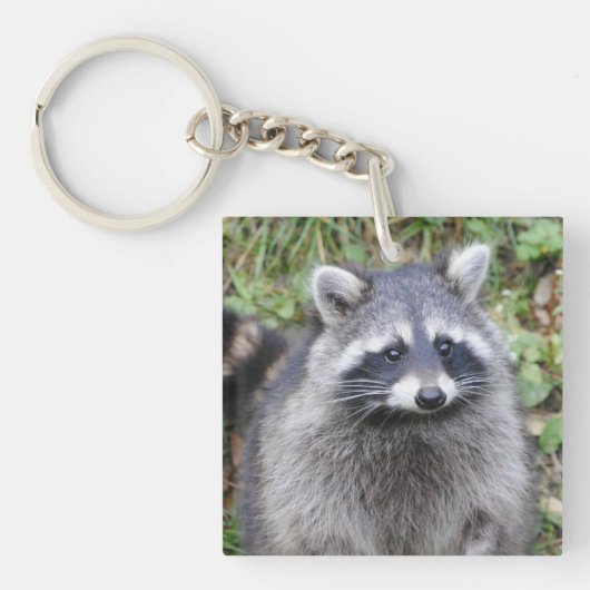 Cute Raccoon Sleutelhanger (voorkant)
