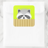 Cute Raccoon Stickers (Tas)