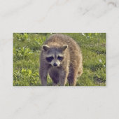 Cute Raccoon Visitekaartjes (Achterkant)
