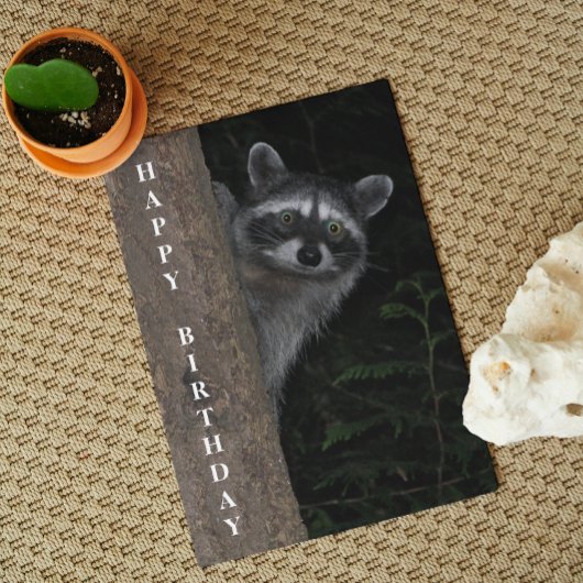 Cute Raccoon Wildlife Foto van Birthday Kaart