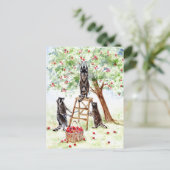 Cute Raccoons in Apple Orchard Briefkaart (Staand voorkant)