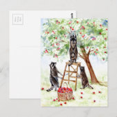 Cute Raccoons in Apple Orchard Briefkaart (Voorkant / Achterkant)