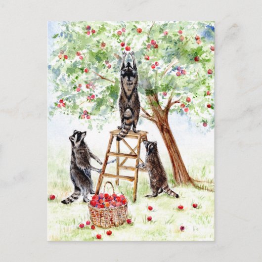 Cute Raccoons in Apple Orchard Briefkaart (Voorkant)