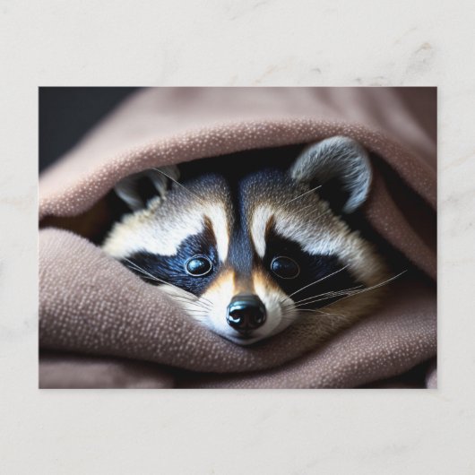 Cute Racoon in een zachte deken Briefkaart (Voorkant)