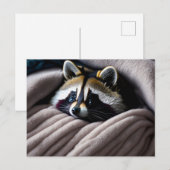 Cute Racoon in een zachte deken Briefkaart (Voorkant / Achterkant)