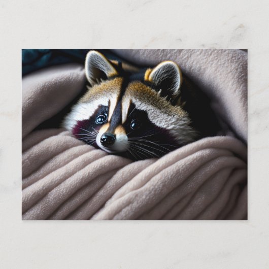 Cute Racoon in een zachte deken Briefkaart (Voorkant)