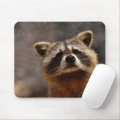 Cute Racoon Muismat (Met muis)