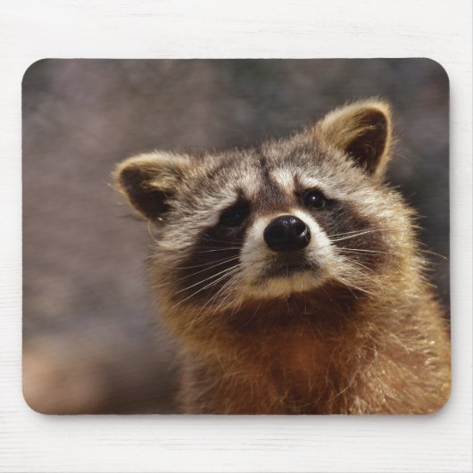 Cute Racoon Muismat (Voorkant)