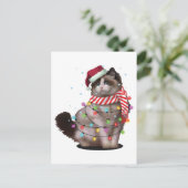 Cute Ragdoll Cat Lover Funny Xmas Holiday Gift Briefkaart (Staand voorkant)