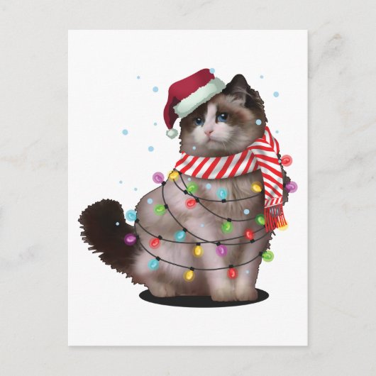 Cute Ragdoll Cat Lover Funny Xmas Holiday Gift Briefkaart (Voorkant)