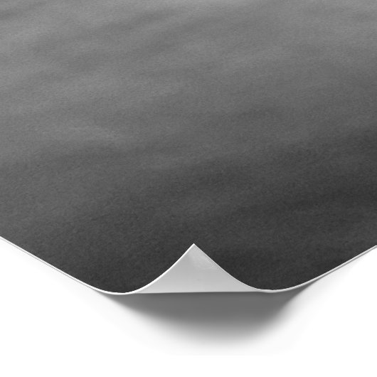 Cute ragdoll kitten poster (Hoek)