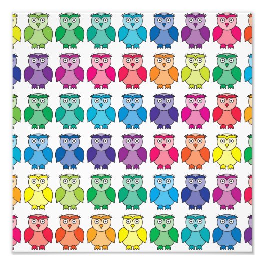 Cute Rainbow Owl Pattern Foto Afdruk (Voorkant)