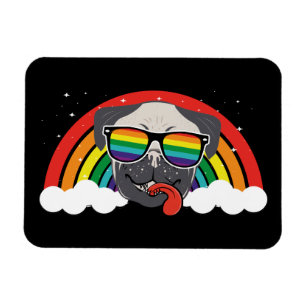 Cute Rainbow Pug Magneet