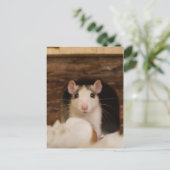 Cute Rat Briefkaart (Staand voorkant)