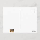 Cute Rat Briefkaart (Achterkant)