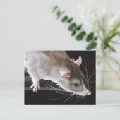 Cute Rat Briefkaart (Staand voorkant)