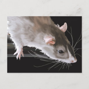 Cute Rat Briefkaart