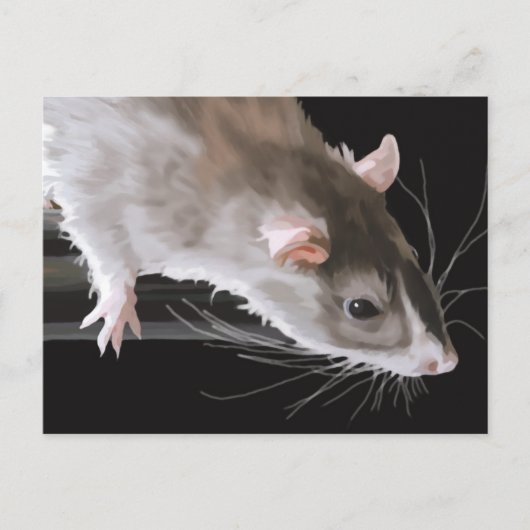 Cute Rat Briefkaart (Voorkant)