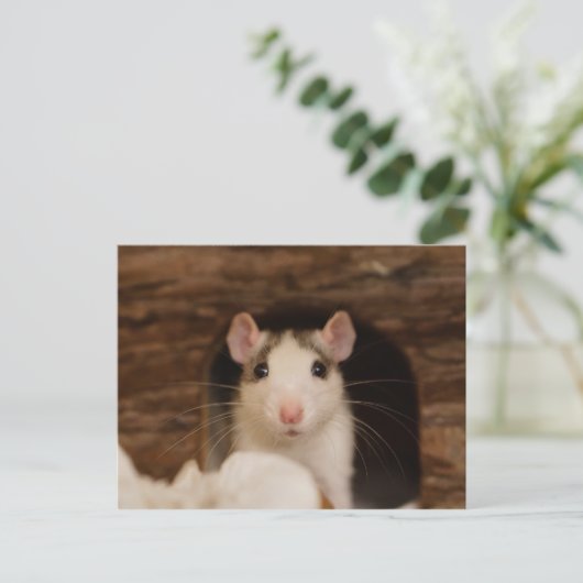 Cute Rat Briefkaart (Staand voorkant)