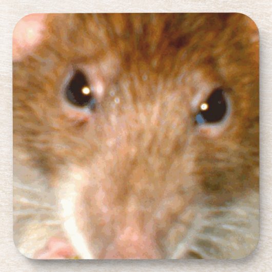 Cute Rat Face Cork Onderzetter (Voorkant)