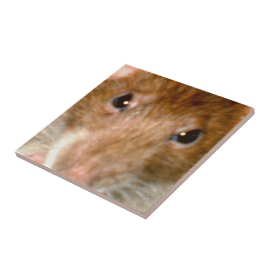 Cute Rat Face Tile Tegeltje (Zijkant)