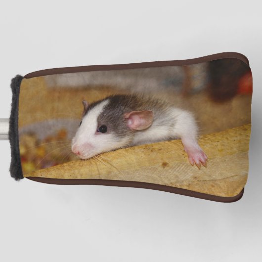 Cute Rat Golfheadcover (Voorkant)