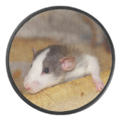 Cute Rat Hockey Puck (Voorkant)